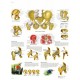 PELVIS Y CADERA