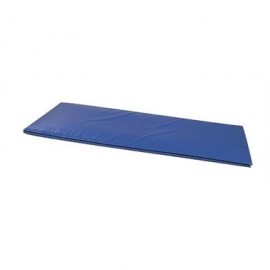Colchoneta para rehabilitación grande