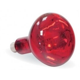 Bombilla INFRARROJOS especial altacalidad 250W (CAL-41023)