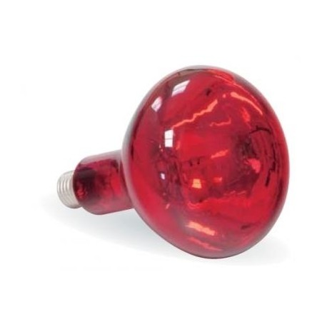 Bombilla INFRARROJOS especial altacalidad 250W (CAL-41023)