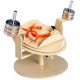 Aparato reeducador de tobillo (REG-FM-048)