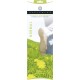 Plantilla Neutrolor Normal (6307.10)