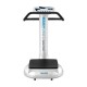MÁQUINA FITNESS PLATAFORMA SALTER EASYvibe PT-290 (PT-290)