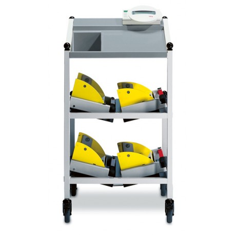 Pesacamas SECA electrónica, 4 células clase III con elevadores integrados (SA985.702.1099)
