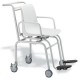 Báscula SECA 952 digital con silla con alimentación por pilas, fuerza 200kg (SA952.130.9109)