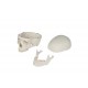 ESQUELETO CLASICO. Soporte con ruedas (EM-11P)