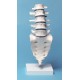 Vértebras lumbares con Soporte (ER-4036)