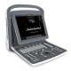 Ecógrafo Chison ECO 1 con sonda incluida pantalla 12 pulgadas, blanco y negro