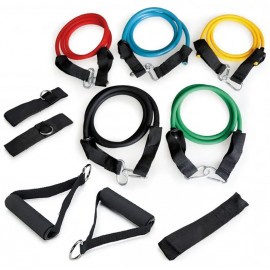 Set bandas elástica tipo tubo con asa para entrenamiento Softee